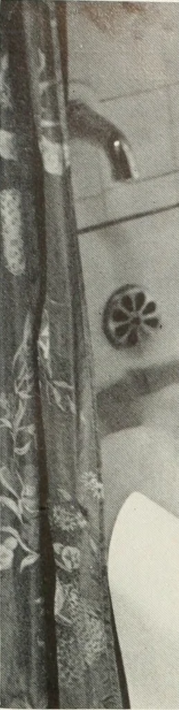 An illustration from Architect and engineer, 1905, leaf 520