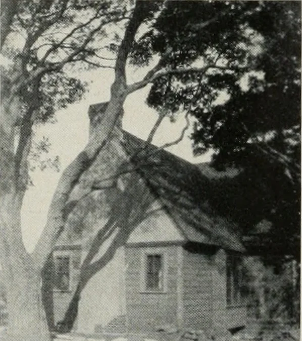 An illustration from Architect and engineer, 1905, leaf 539