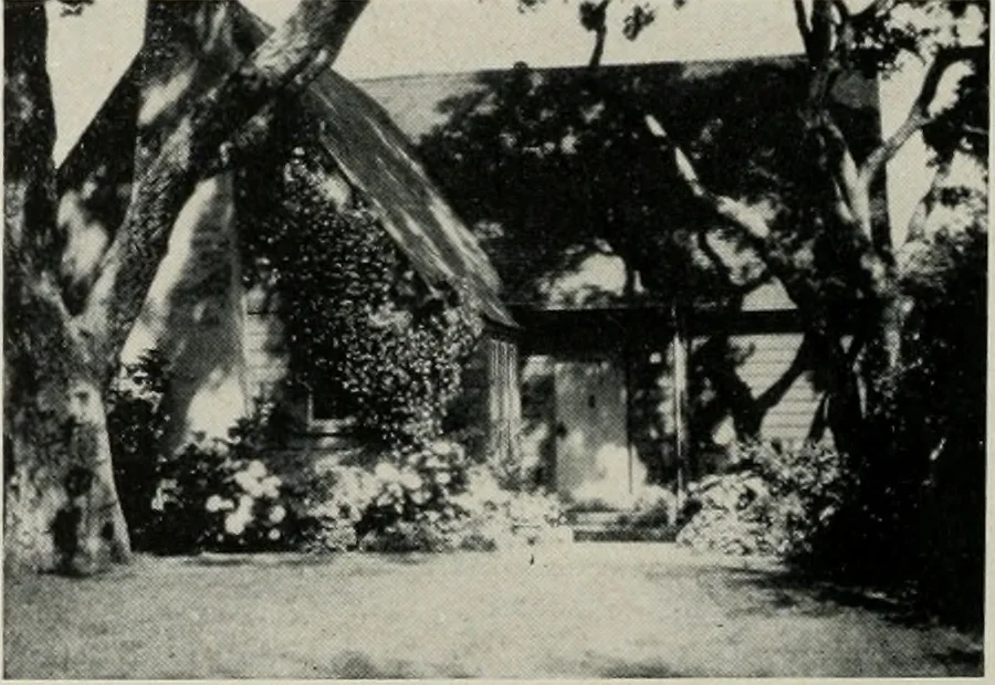 An illustration from Architect and engineer, 1905, leaf 539