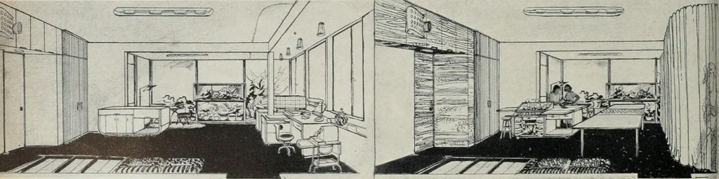 An illustration from Architect and engineer, 1905, leaf 67