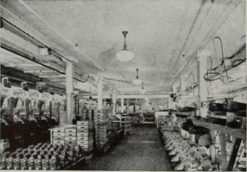 An illustration from Architect and engineer, 1905, leaf 103