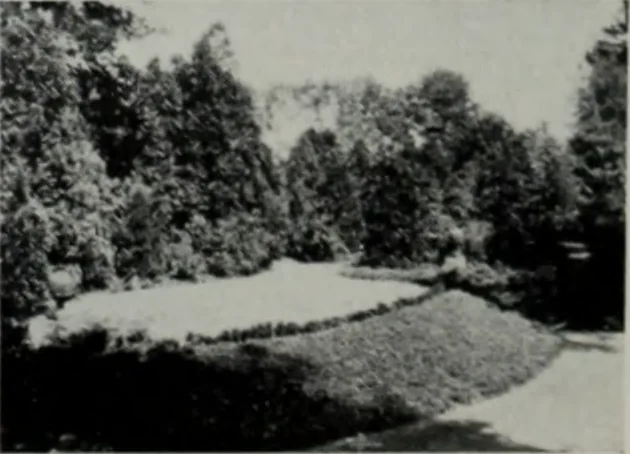 An illustration from Architect and engineer, 1905, leaf 165
