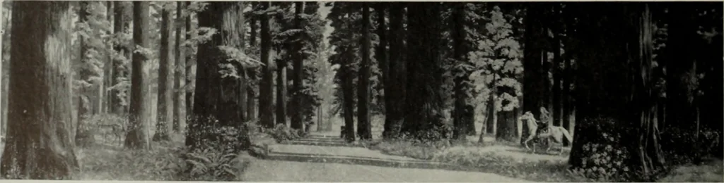 An illustration from Architect and engineer, 1905, leaf 253