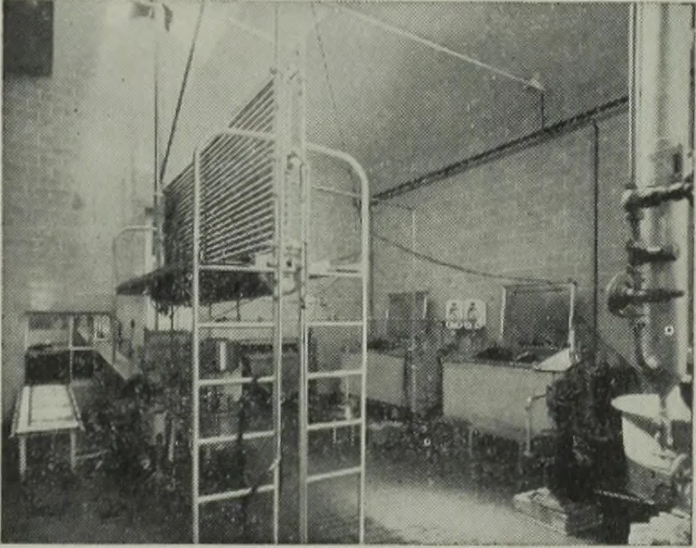 An illustration from Architect and engineer, 1905, leaf 300