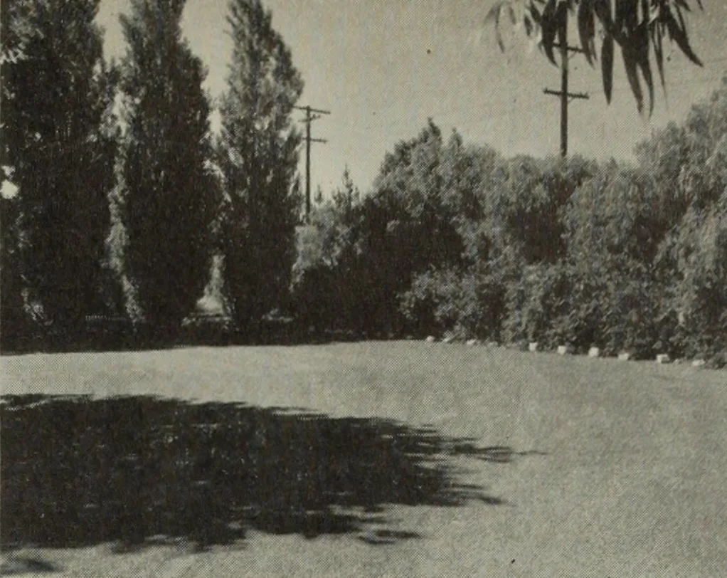 An illustration from Architect and engineer, 1905, leaf 404