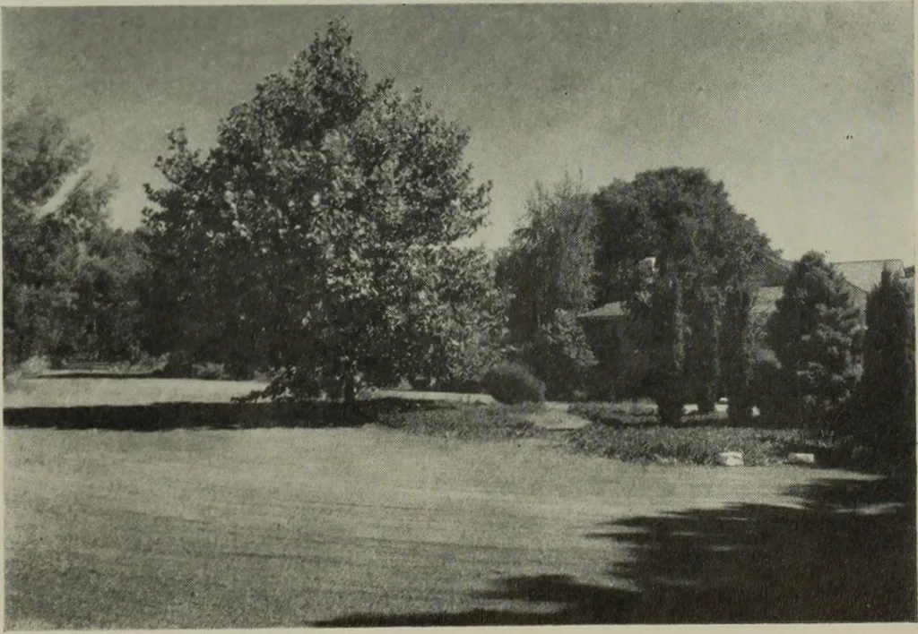 An illustration from Architect and engineer, 1905, leaf 404
