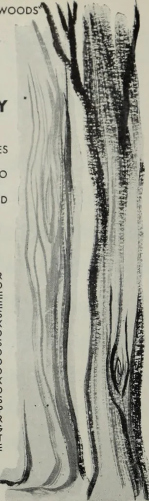 An illustration from Architect and engineer, 1905, leaf 41