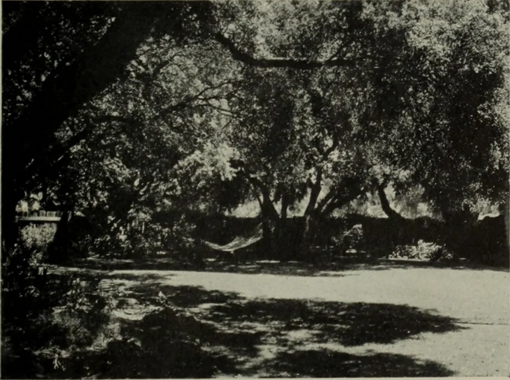 An illustration from Architect and engineer, 1905, leaf 410