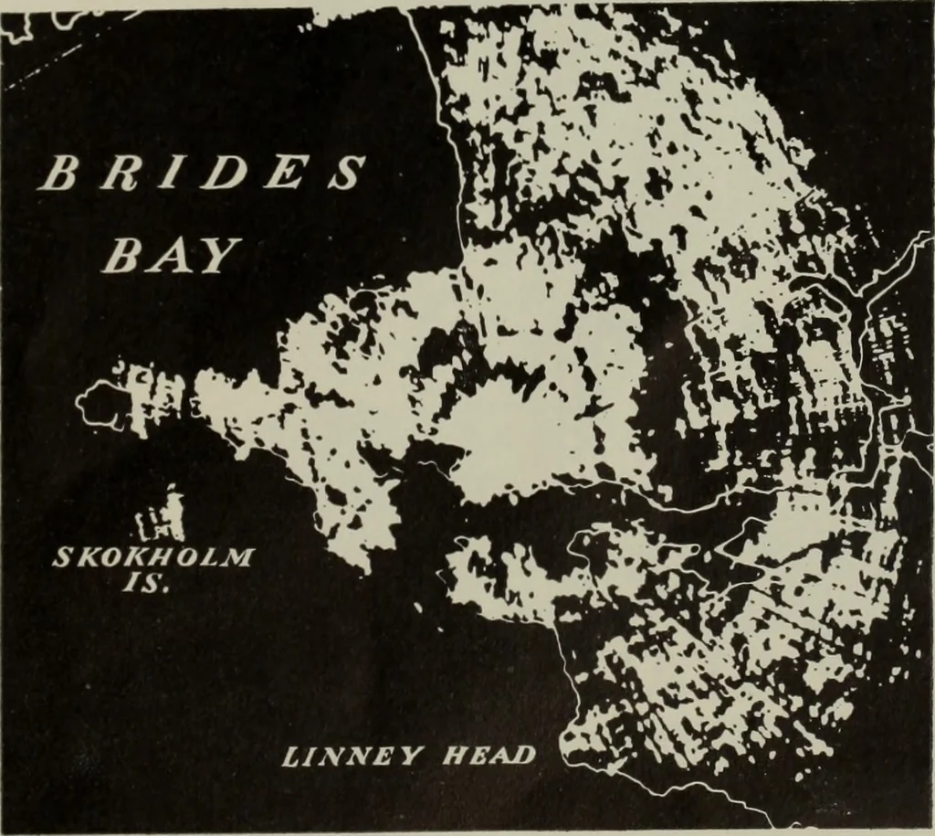 An illustration from Architect and engineer, 1905, leaf 420