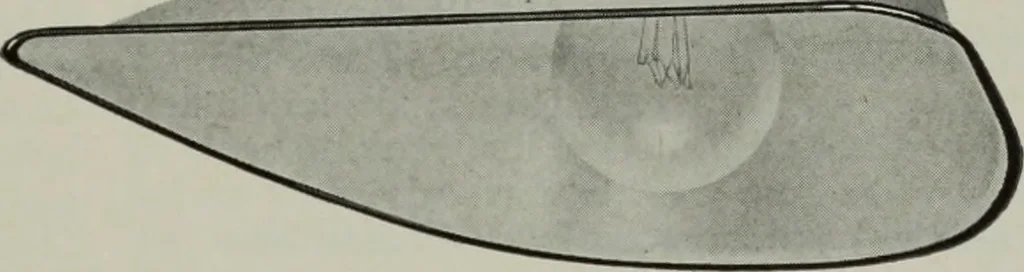 An illustration from Architect and engineer, 1905, leaf 90