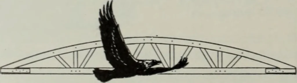An illustration from Architect and engineer, 1905, leaf 183
