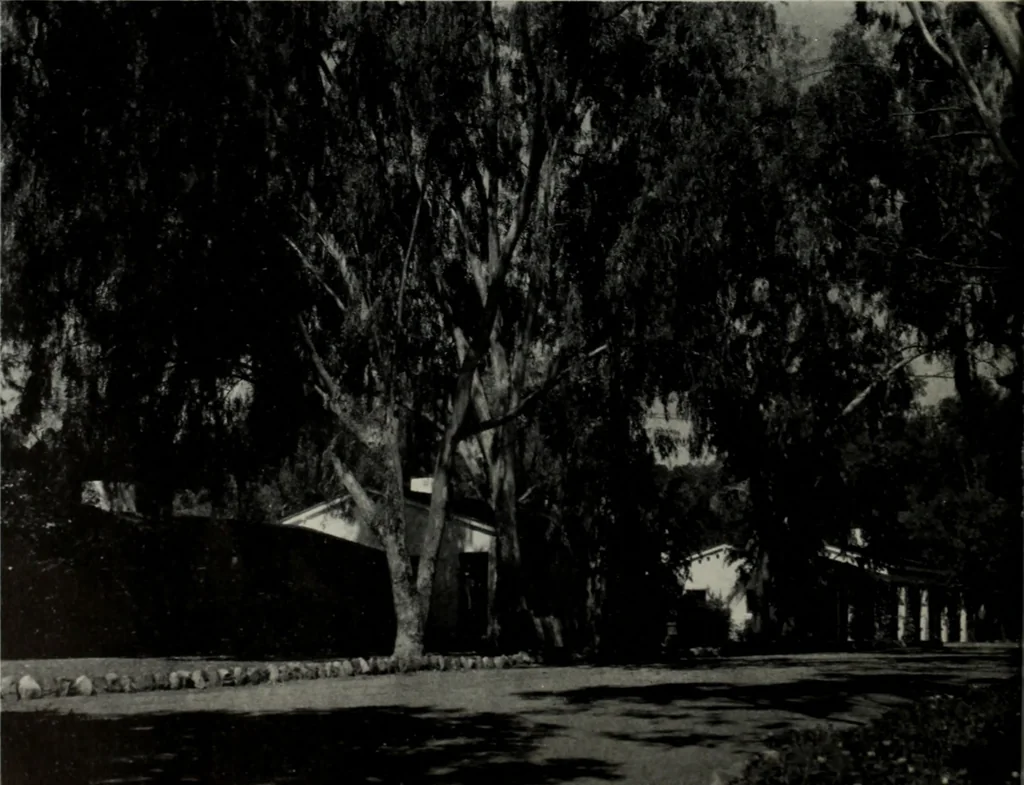 An illustration from Architect and engineer, 1905, leaf 29