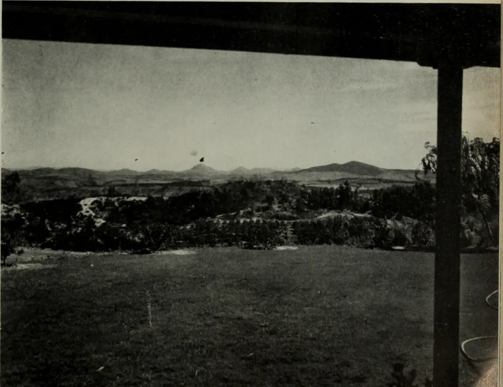 An illustration from Architect and engineer, 1905, leaf 30