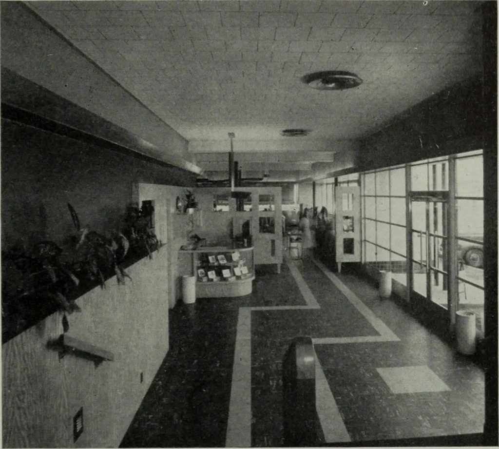 An illustration from Architect and engineer, 1905, leaf 316