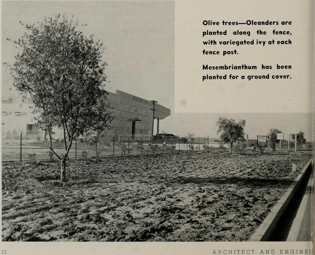 An illustration from Architect and engineer, 1905, leaf 355