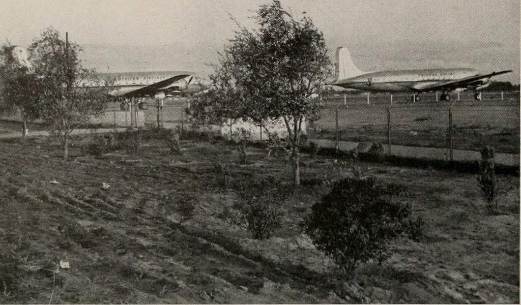 An illustration from Architect and engineer, 1905, leaf 357