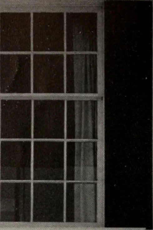 An illustration from Architect and engineer, 1905, leaf 451