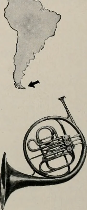 An illustration from Architect and engineer, 1905, leaf 57