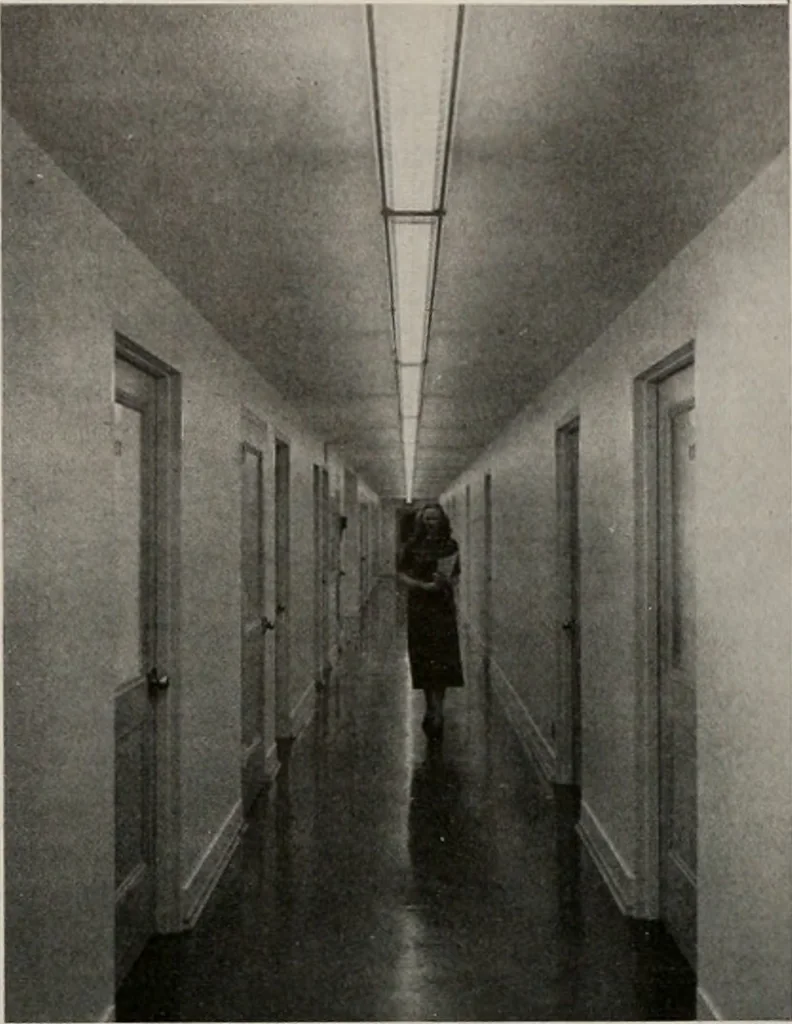 An illustration from Architect and engineer, 1905, leaf 124