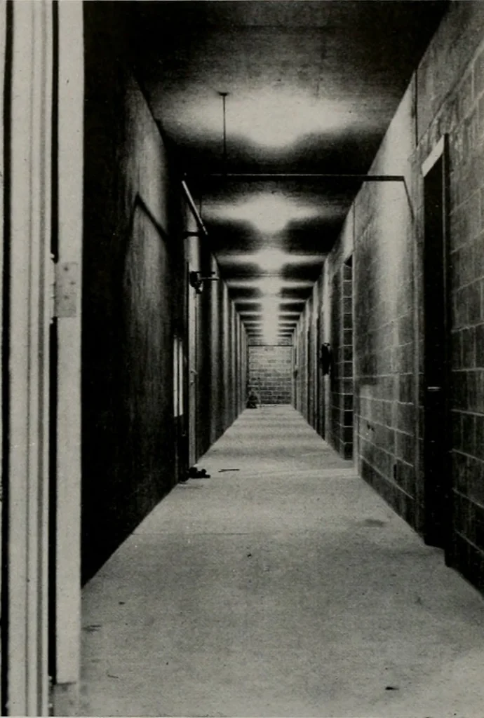 An illustration from Architect and engineer, 1905, leaf 306