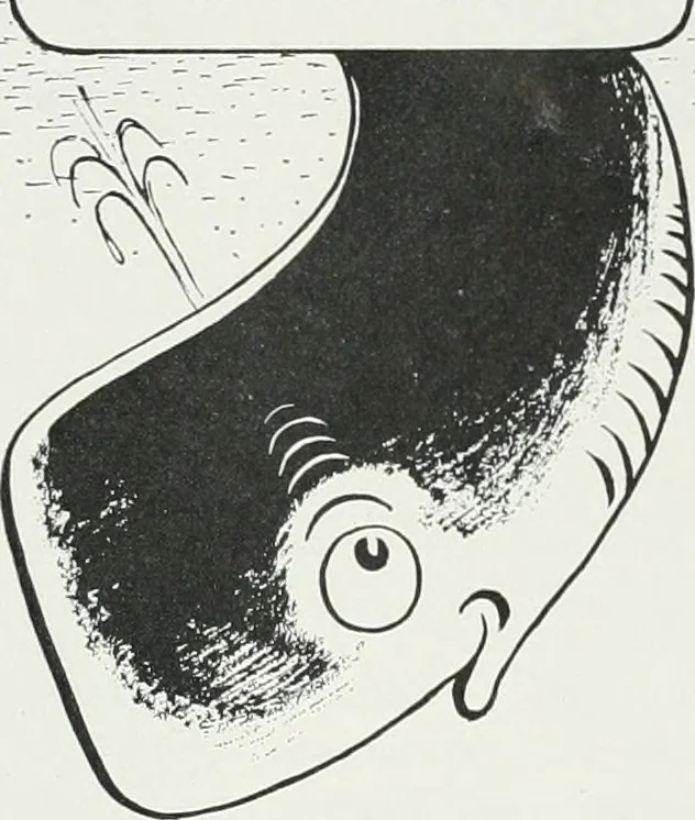 An illustration from Architect and engineer, 1905, leaf 140