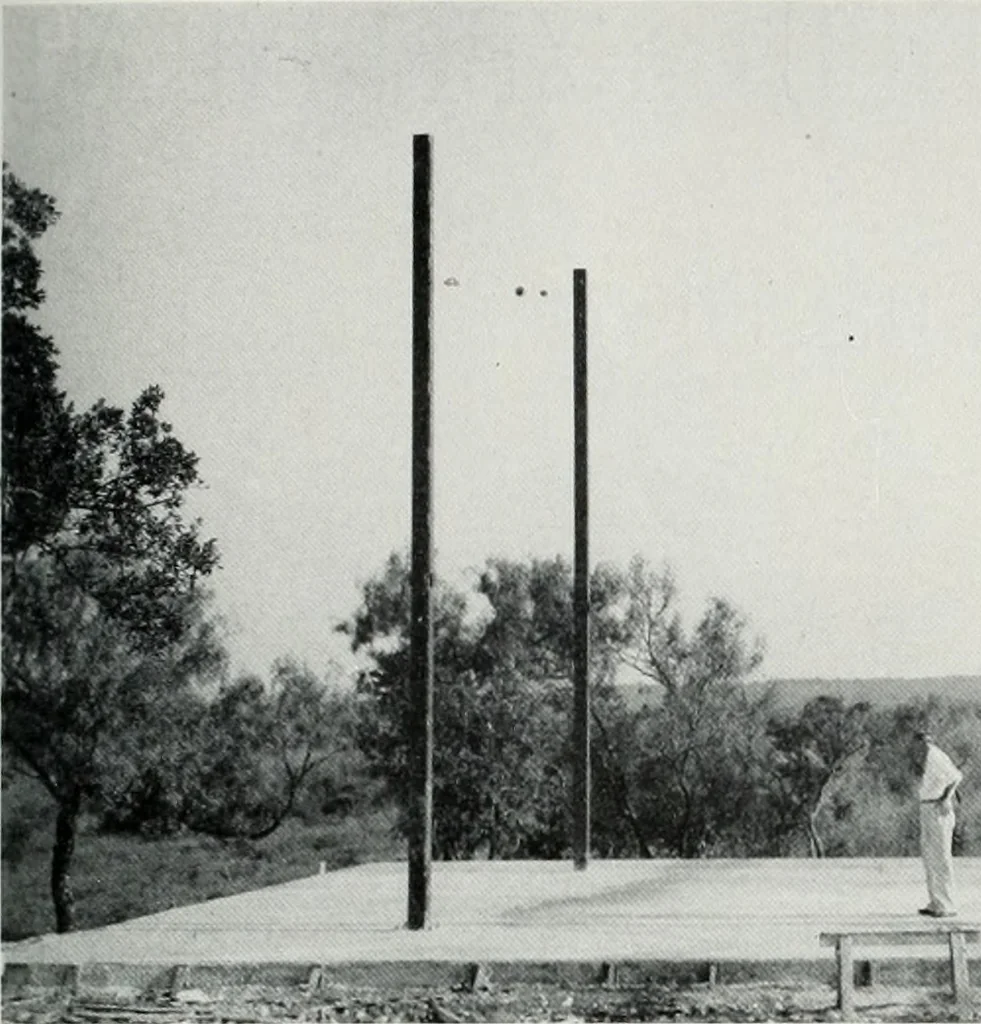 An illustration from Architect and engineer, 1905, leaf 166
