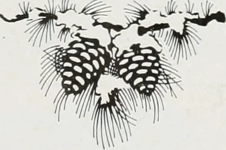 An illustration from Architect and engineer, 1905, leaf 537
