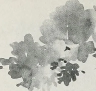 An illustration from Architect and engineer, 1905, leaf 76