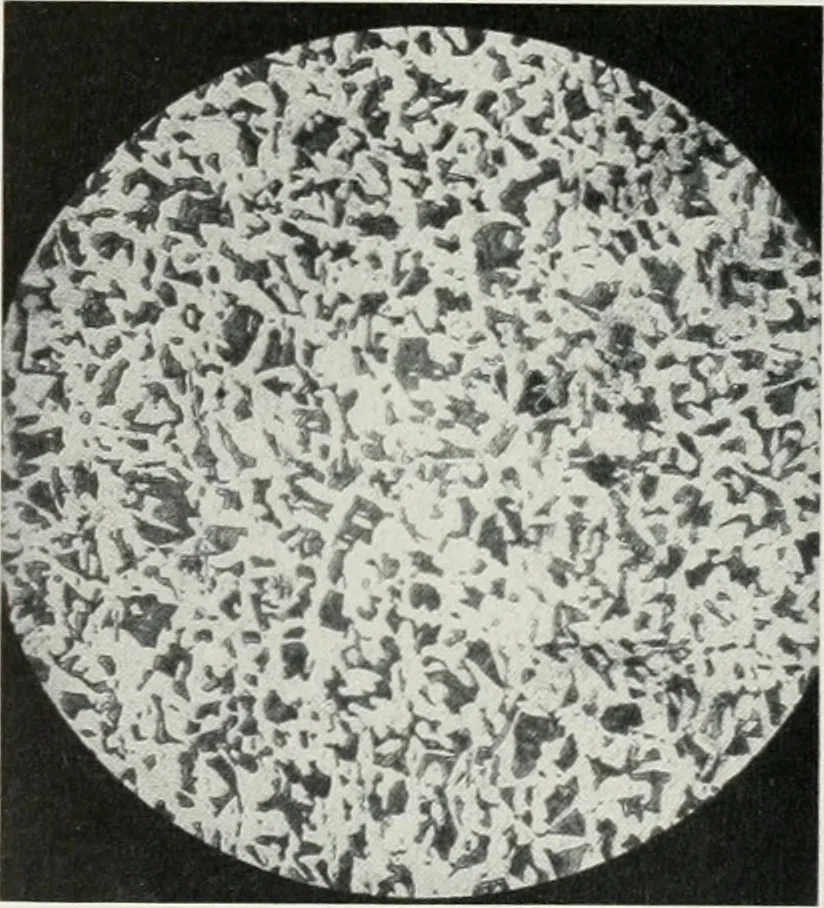 An illustration from Architect and engineer, 1905, leaf 81