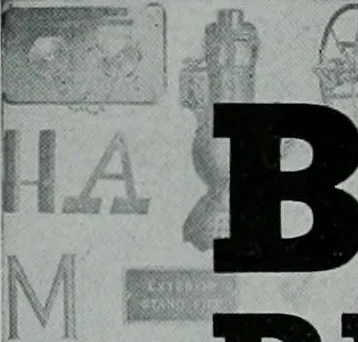 An illustration from Architect and engineer, 1905, leaf 167
