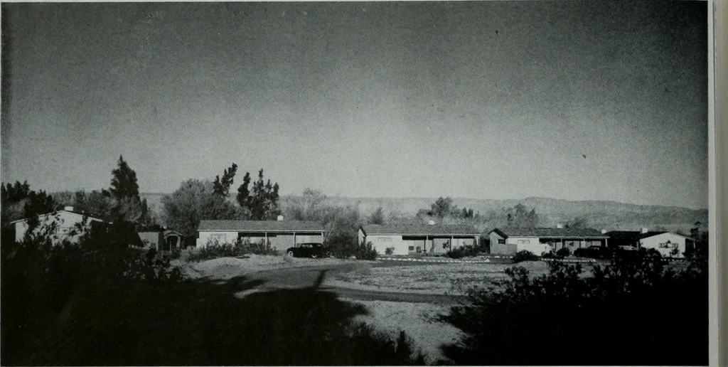 An illustration from Architect and engineer, 1905, leaf 255