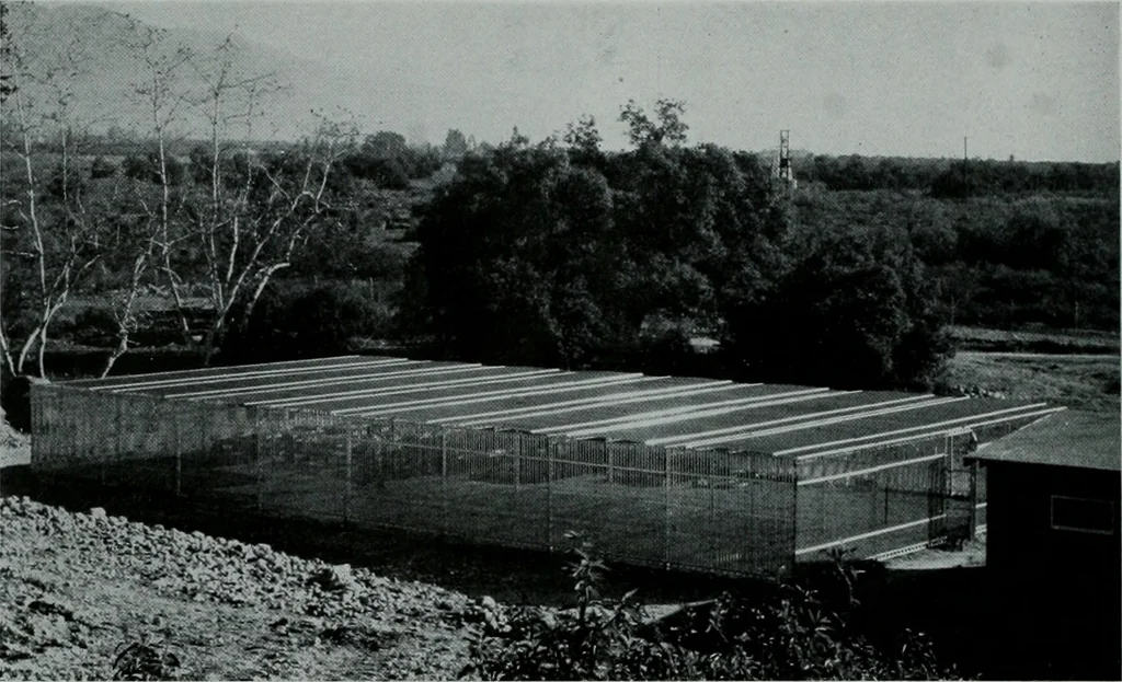 An illustration from Architect and engineer, 1905, leaf 309
