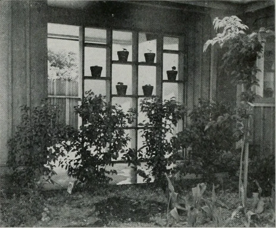 An illustration from Architect and engineer, 1905, leaf 455