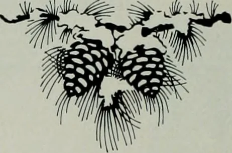 An illustration from Architect and engineer, 1905, leaf 542