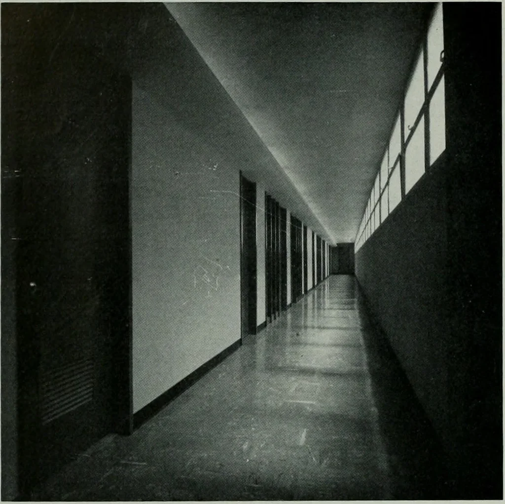 An illustration from Architect and engineer, 1905, leaf 556