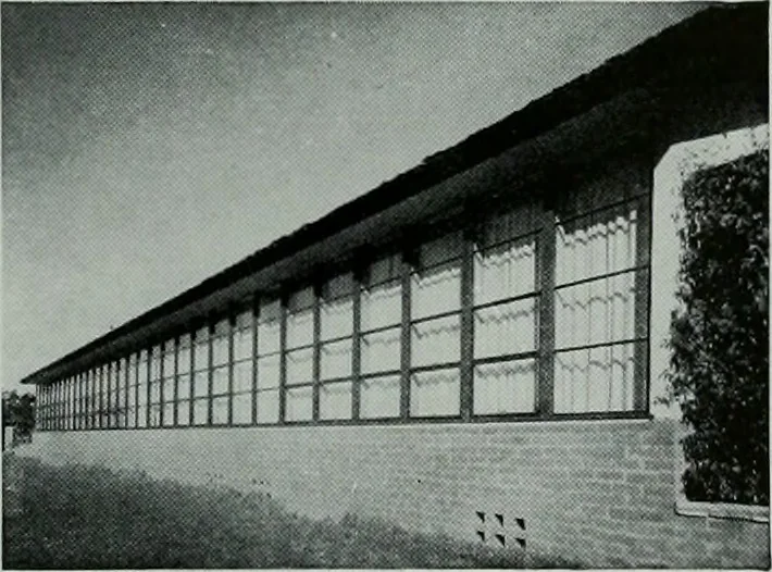 An illustration from Architect and engineer, 1905, leaf 191