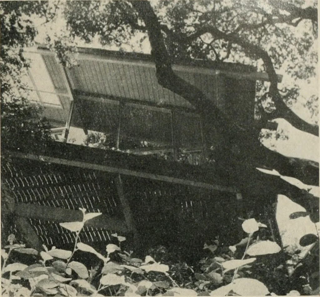 An illustration from Architect and engineer, 1905, leaf 260