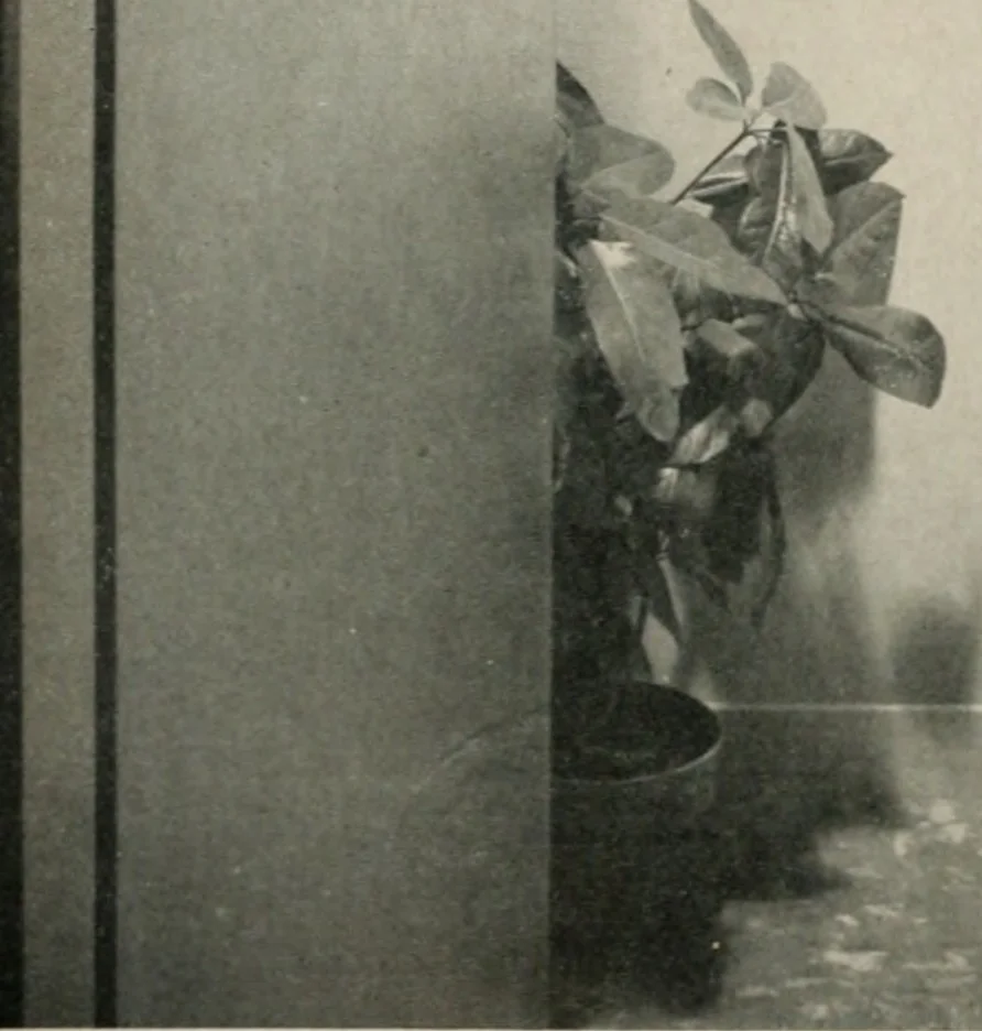 An illustration from Architect and engineer, 1905, leaf 503