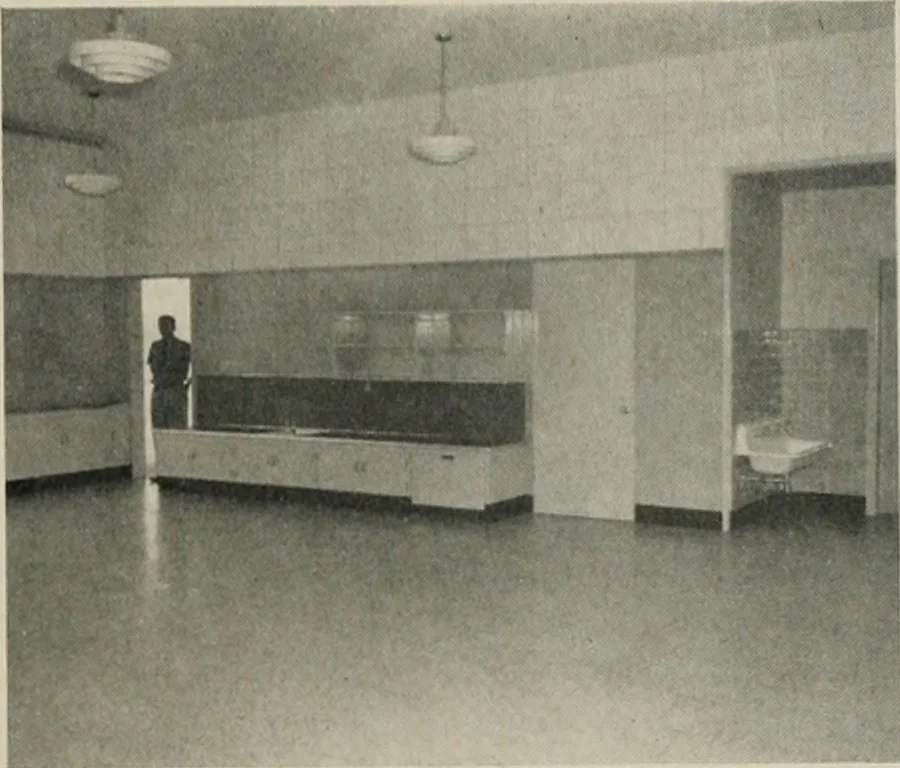 An illustration from Architect and engineer, 1905, leaf 508
