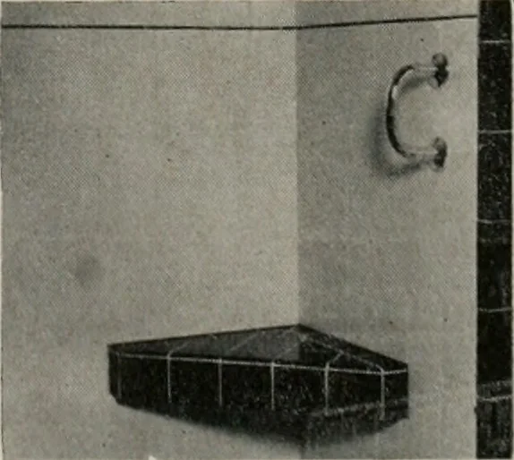 An illustration from Architect and engineer, 1905, leaf 197