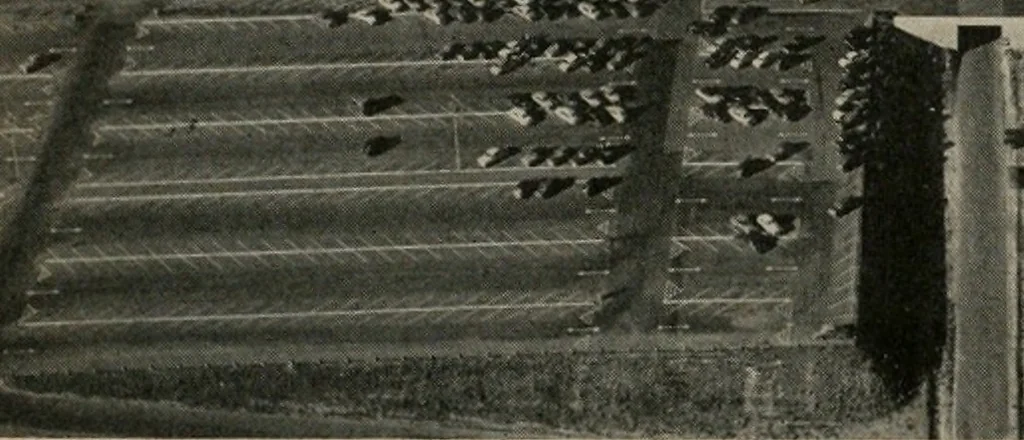 An illustration from Architect and engineer, 1905, leaf 333