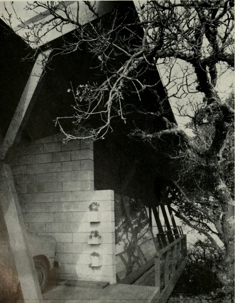 An illustration from Architect and engineer, 1905, leaf 489