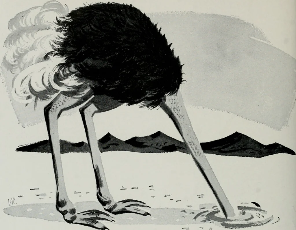 An illustration from Architect and engineer, 1905, leaf 585