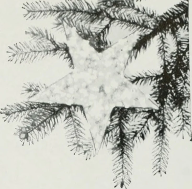 An illustration from Architect and engineer, 1905, leaf 634