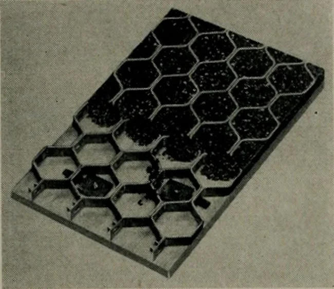 An illustration from Architect and engineer, 1905, leaf 194