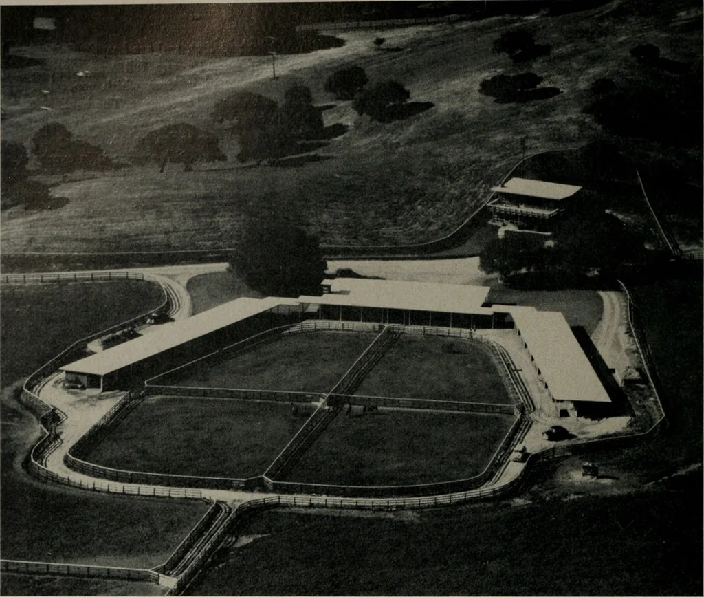 An illustration from Architect and engineer, 1905, leaf 219