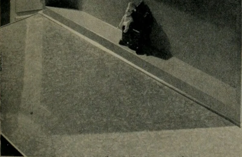 An illustration from Architect and engineer, 1905, leaf 420