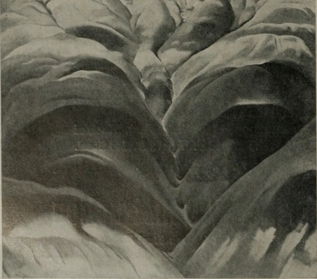An illustration from Architect and engineer, 1905, leaf 503