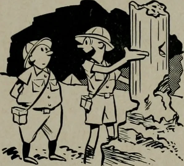 An illustration from Architect and engineer, 1905, leaf 542