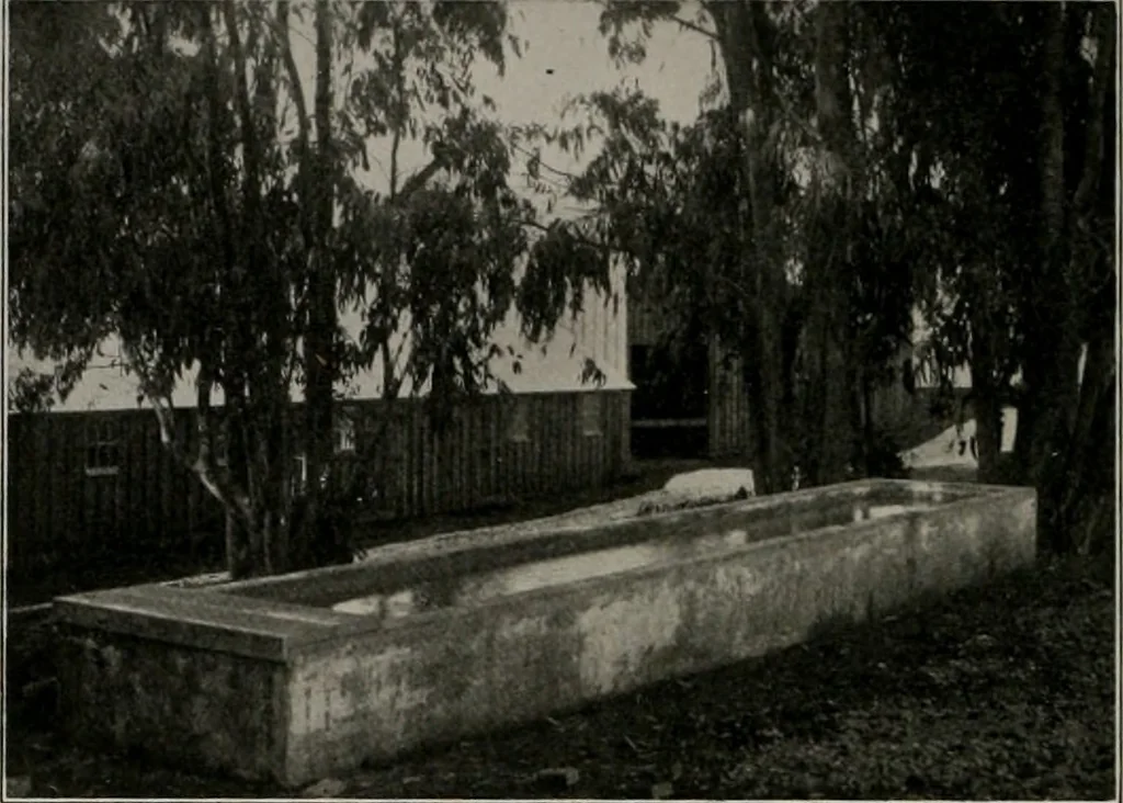 An illustration from The Architect & engineer of California and the Pacific Coast, 1905, leaf 257
